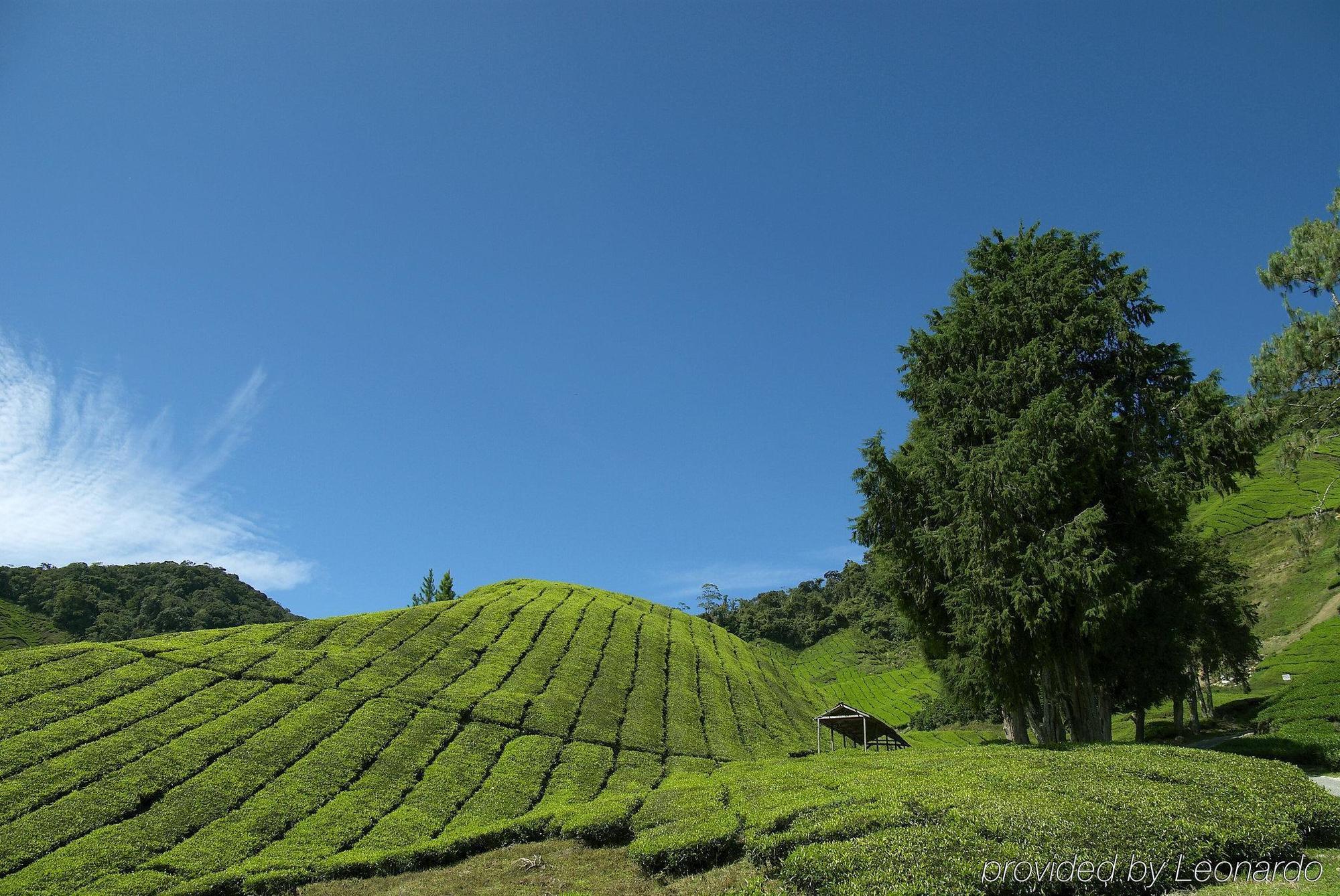 Cameron Highlands Resort - Small Luxury Hotels Of The World Exterior foto